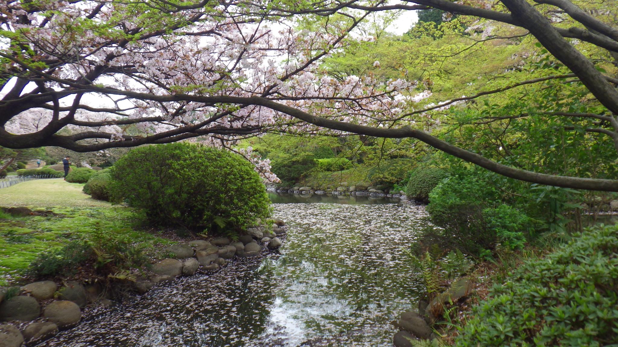 imgp1243.jpg?w=2048